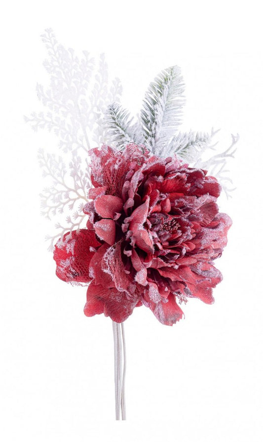 10x Pivoine Ginny Rouge Neigeux