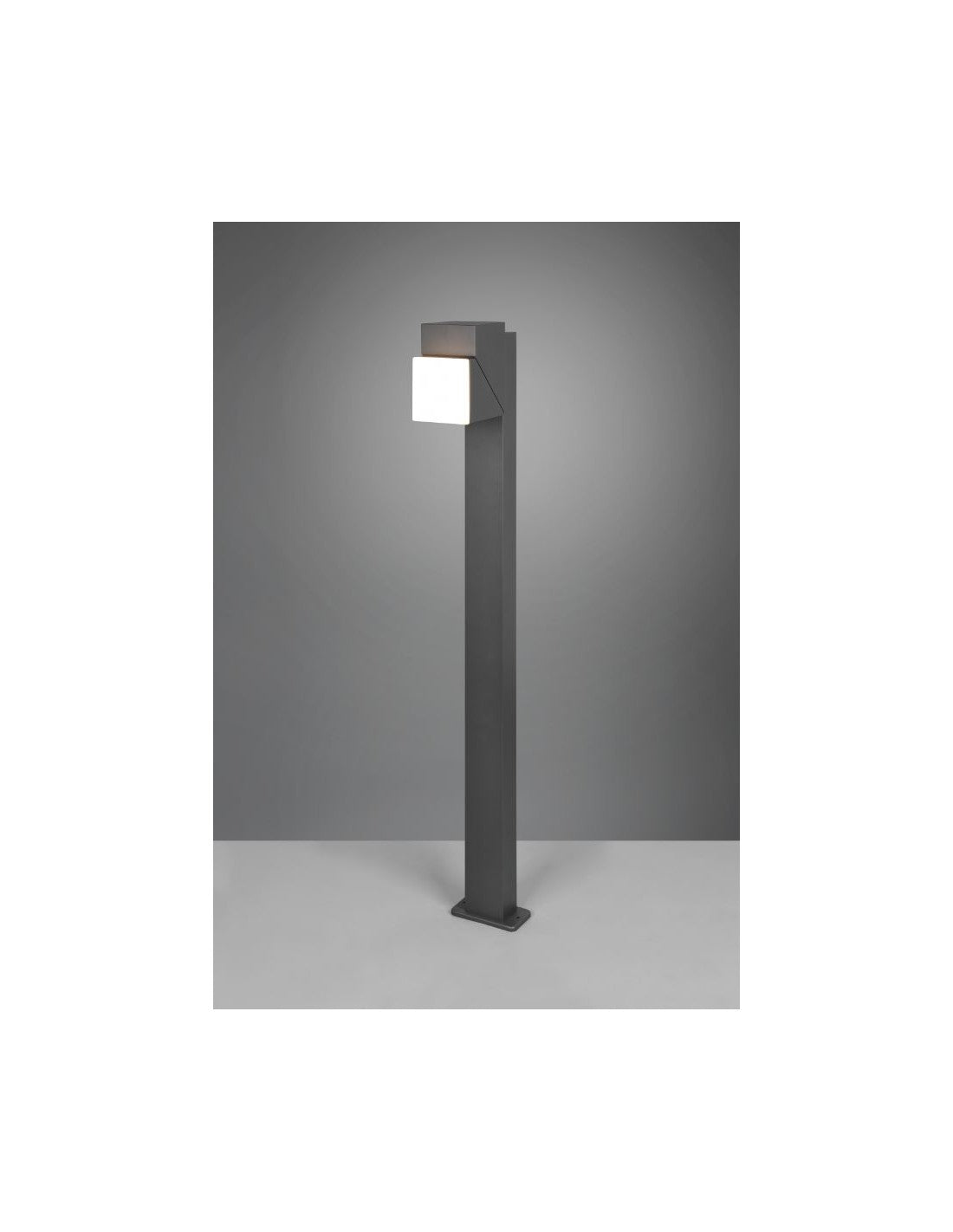 Pole Alto LED Orientable Avon Anthracite IP54 Trio Éclairage
