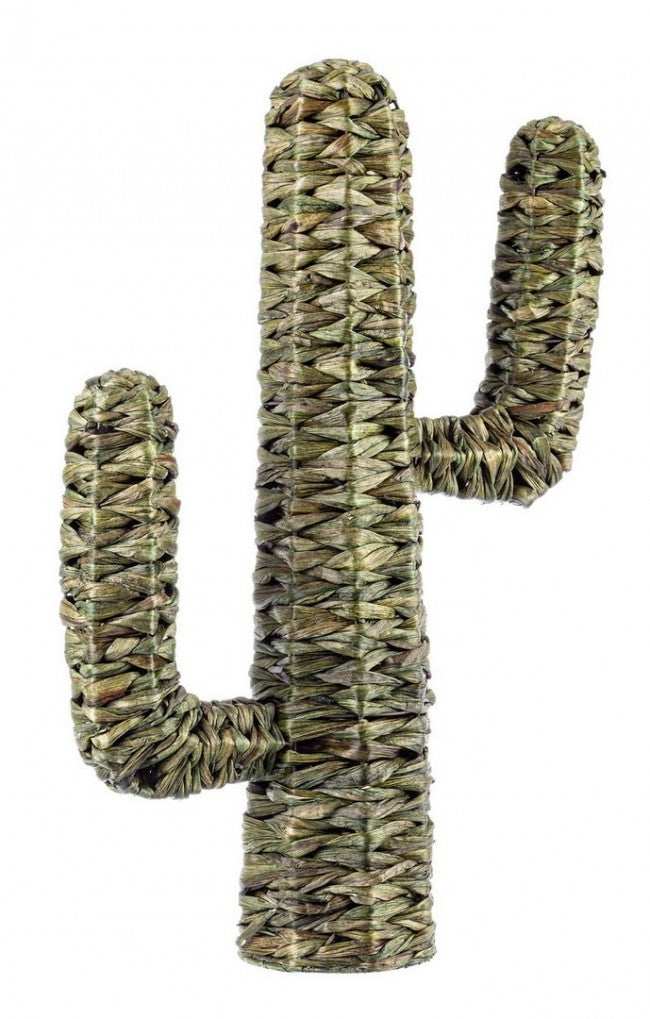 2x Cactus Saguaro Vert H73