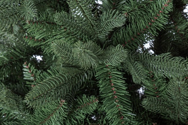 Arbre de Fréjus H400-8819Branches