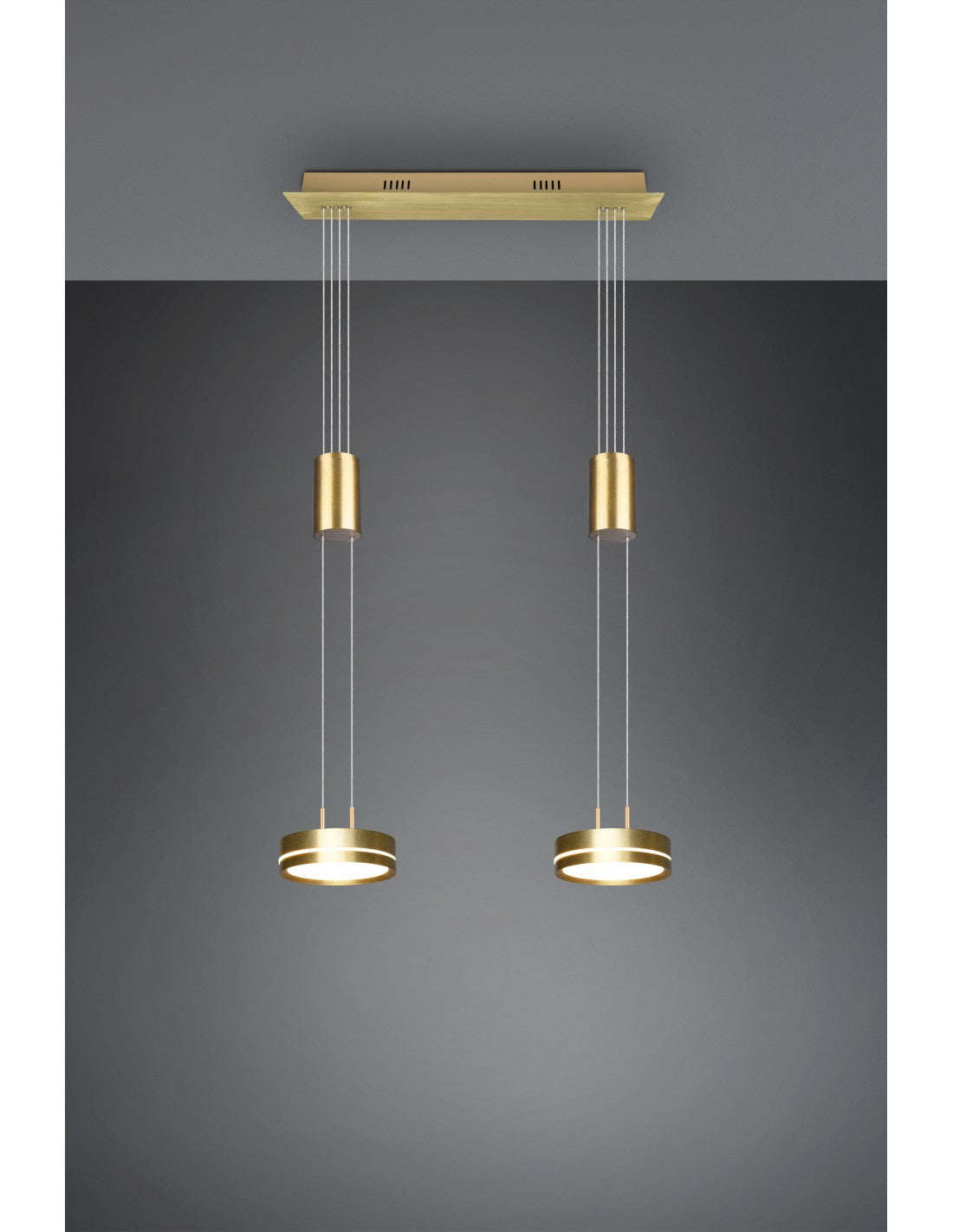 Suspension Diffuseurs Disco Led Dimmer Franklin Laiton Trio Lighting