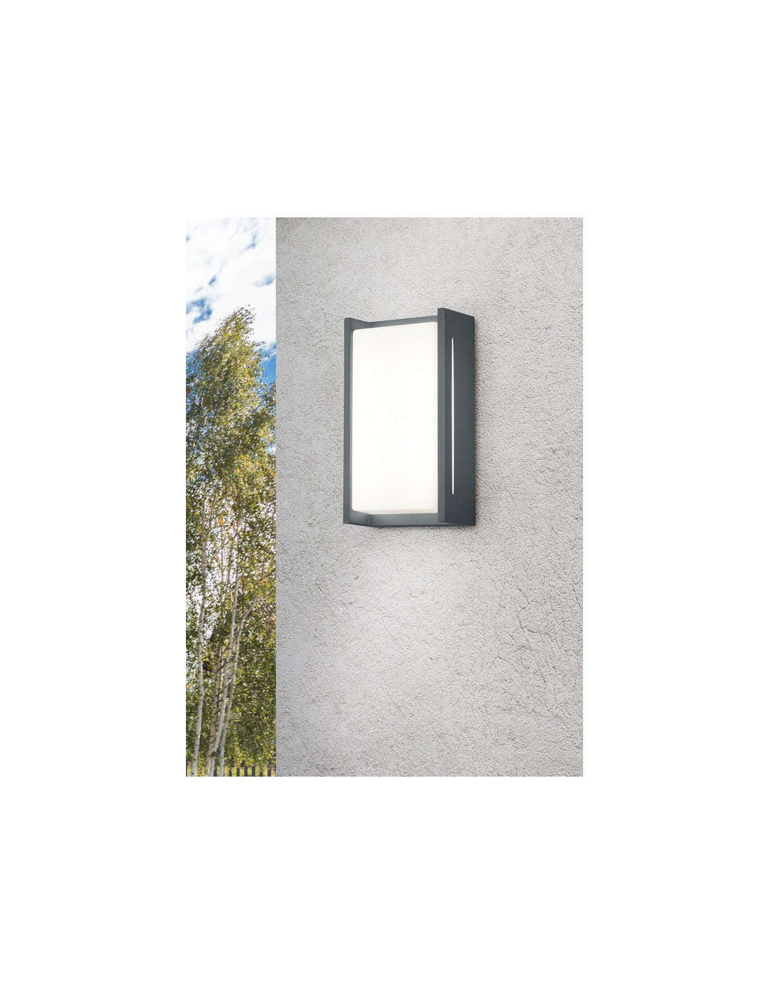 Applique Murale LED Indus pour Entrée Anthracite IP54 Trio Lighting