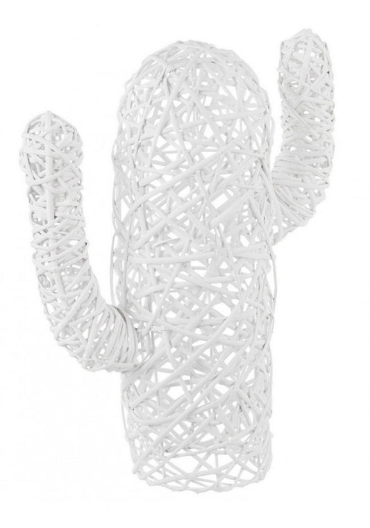4x Cactus Mexique Blanc H55