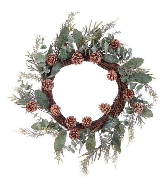 2x Corona Fernie Vert C