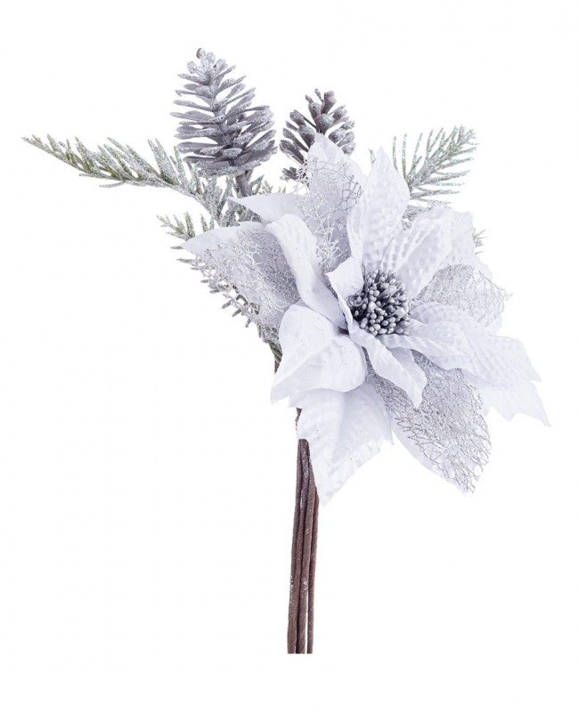 12x Pique Poinsettia Clare Argent C