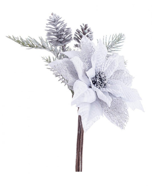 12x Pique Poinsettia Clare Argent C