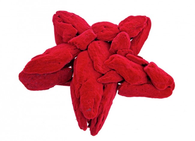 6x étoile de velours rouge