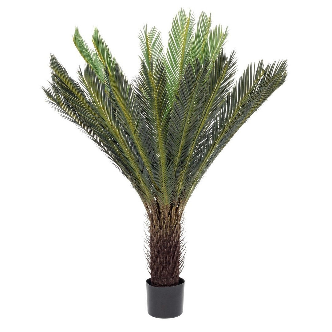 Plante avec pot Cycas Palm 28 feuilles 120h cm