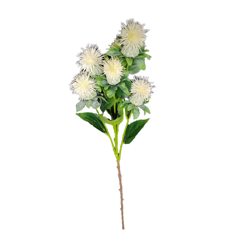 Carthame 79cm blanc