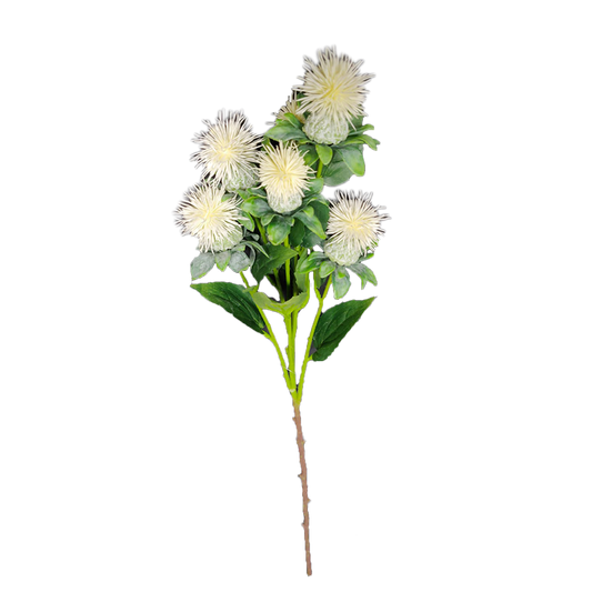 Carthame 79cm blanc