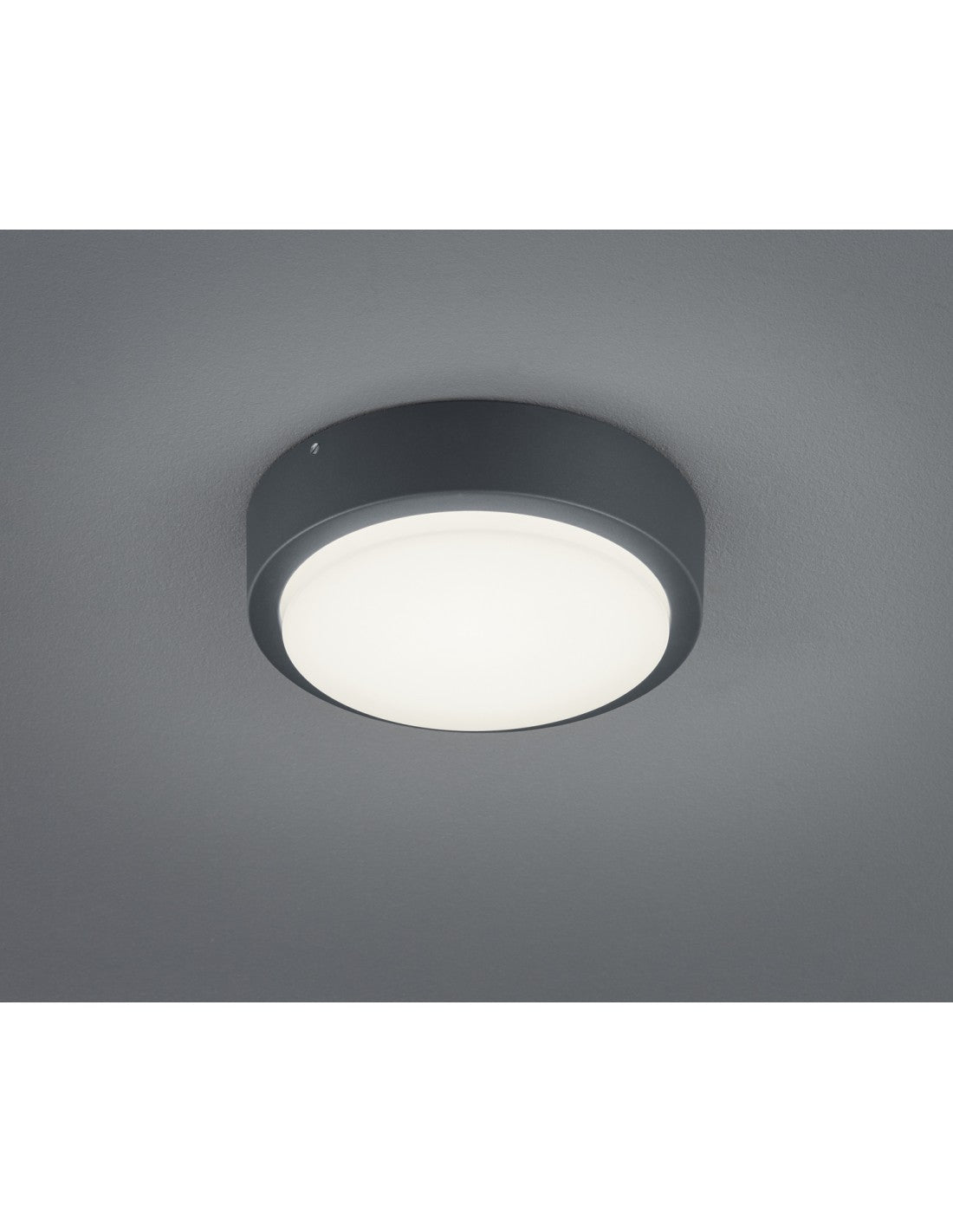 Plafonnier Extérieur Breg Anthracite IP54 Ø20 cm Trio Lighting