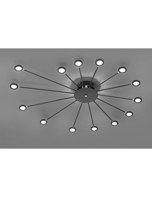 Plafonnier Paon Lumière Indirecte et 14 Points LED Réglables Peacock Black Trio Lighting