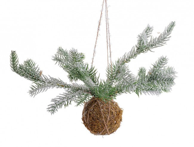 6x décoration de sphère Kokedama C