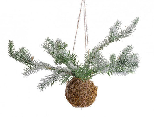 6x décoration de sphère Kokedama C