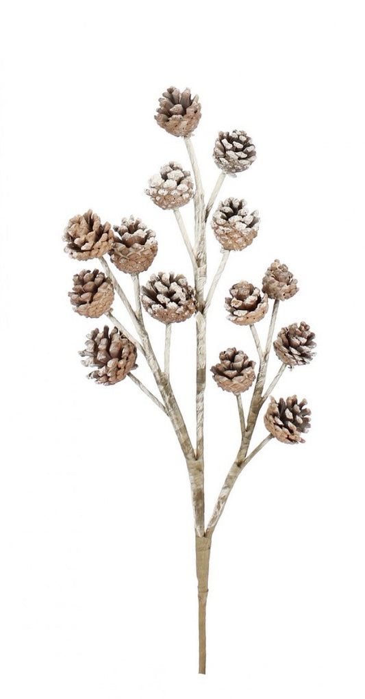 12x Branches Hartley Pommes de Pin X14F Milou H51