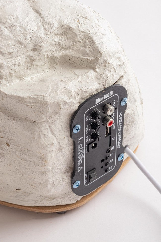 Polar Bear Barrow C-Mouvement L H92