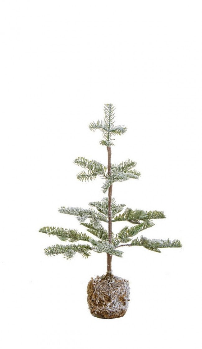 6x Pin Peralba enneigé H53