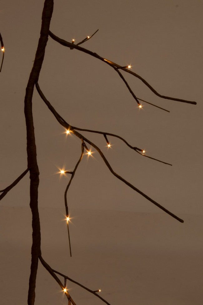 2x Guirlande Revole 78Led Nat Classic Ip20