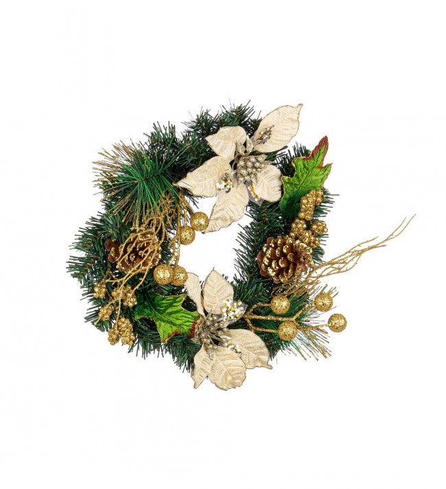 6x Corona Kyle Poinsettia Champagne D35