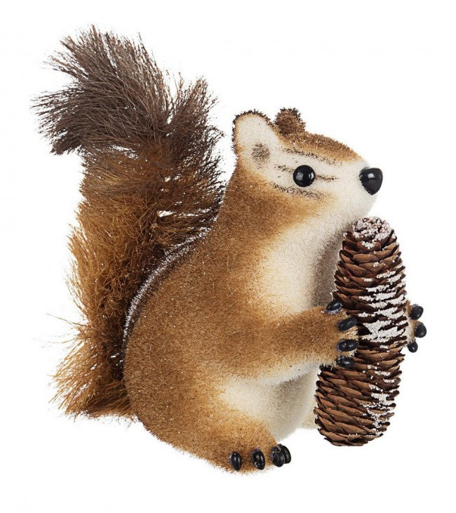 4x Écureuil Jerry Assis C