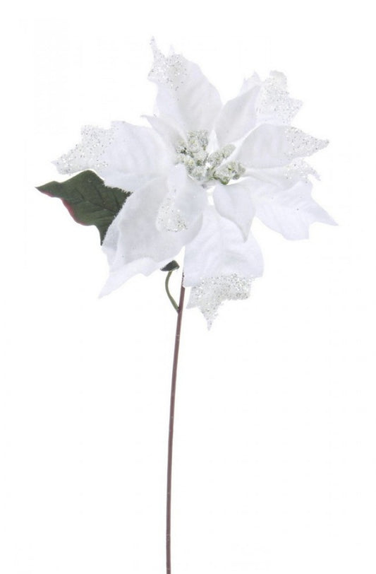 12x Pique Poinsettia Glaciers Blanc H40Cm