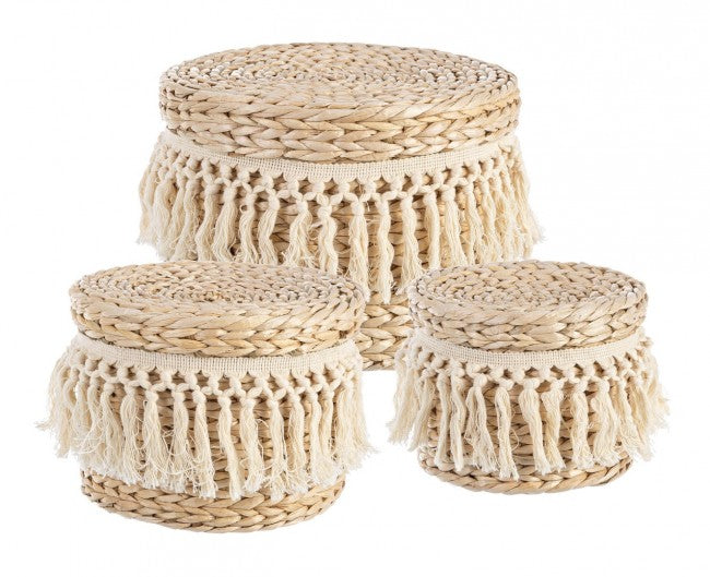 4x Set3 Panier C-Lid Alma To