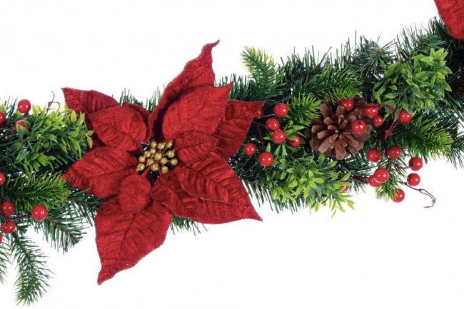 6x Boa Poinsettia Classique Rouge H180