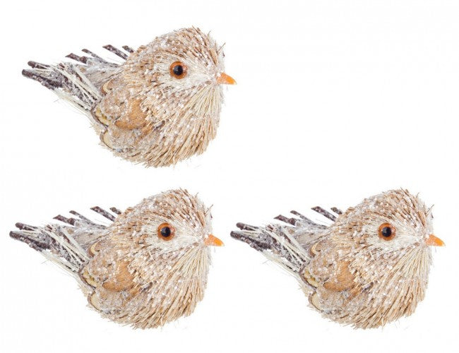 4x Set3 pinces à oiseaux boisés