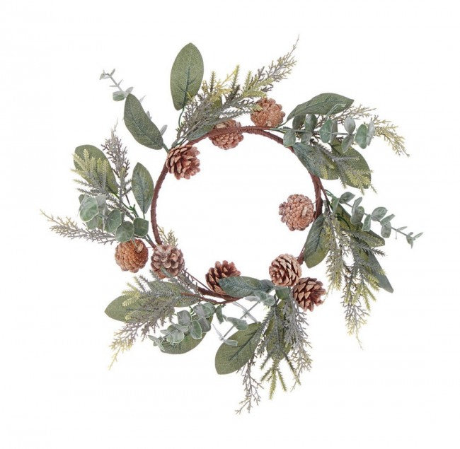 4x Corona Fernie Vert C