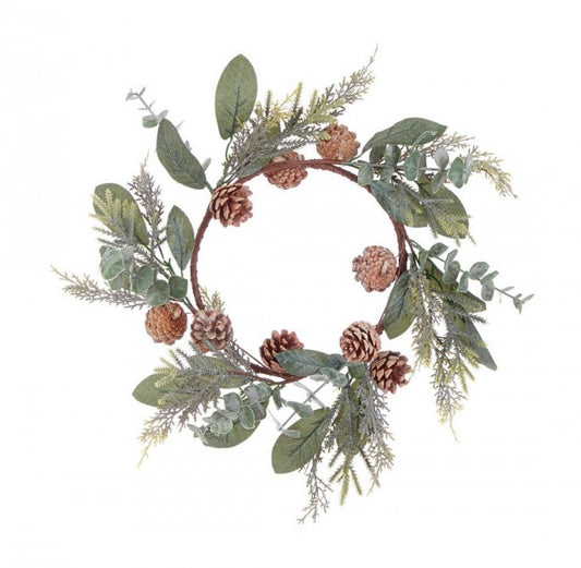 4x Corona Fernie Vert C