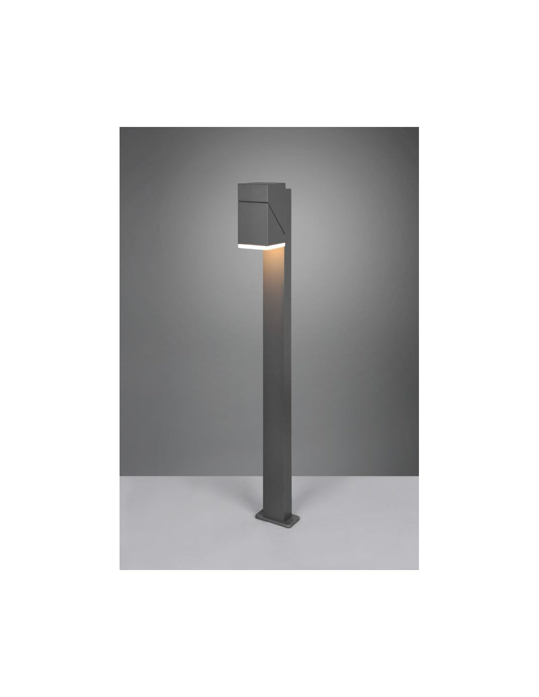 Pole Alto LED Orientable Avon Anthracite IP54 Trio Éclairage