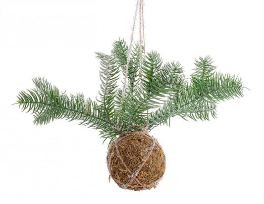 6x décoration de sphère Kokedama C