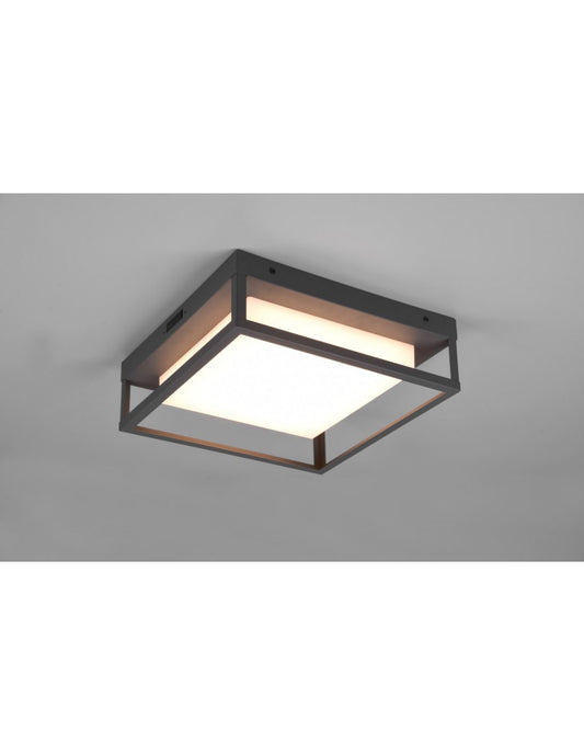 Plafonnier extérieur LED Dip Switch Witham Anthracite IP54 Trio Lighting
