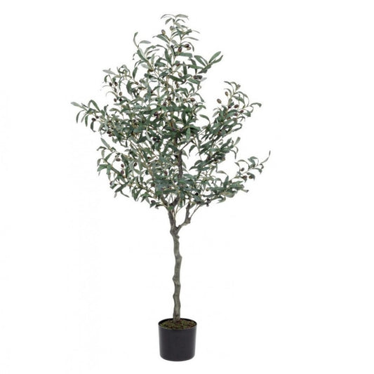 Plante d'olivier avec pot noir 156h cm