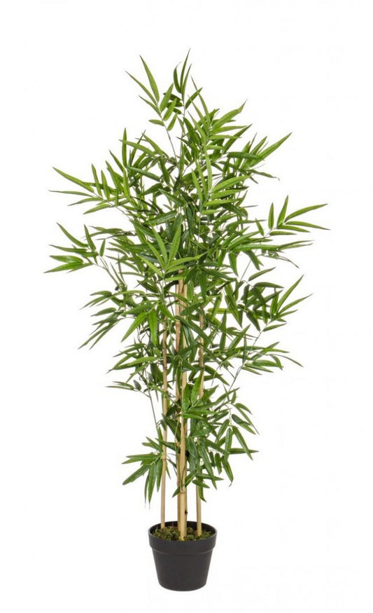 2x C-Pot pour Plantes en Bambou H130cm