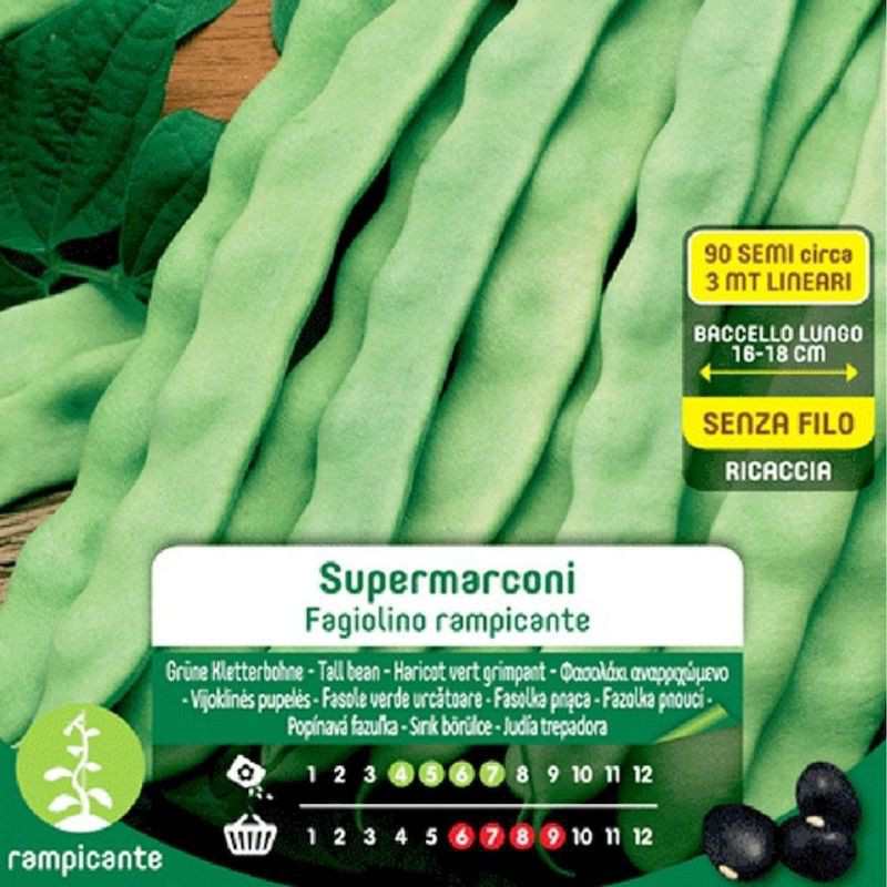 Graines de Haricots Grimpants Supermarconi en Maxi Sachet