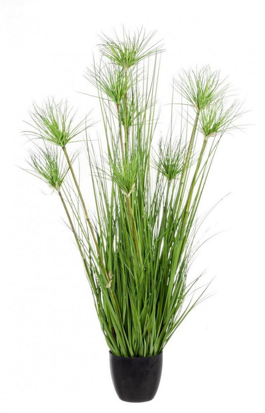 4x Plante Verte du Désert C-Pot X9F H120