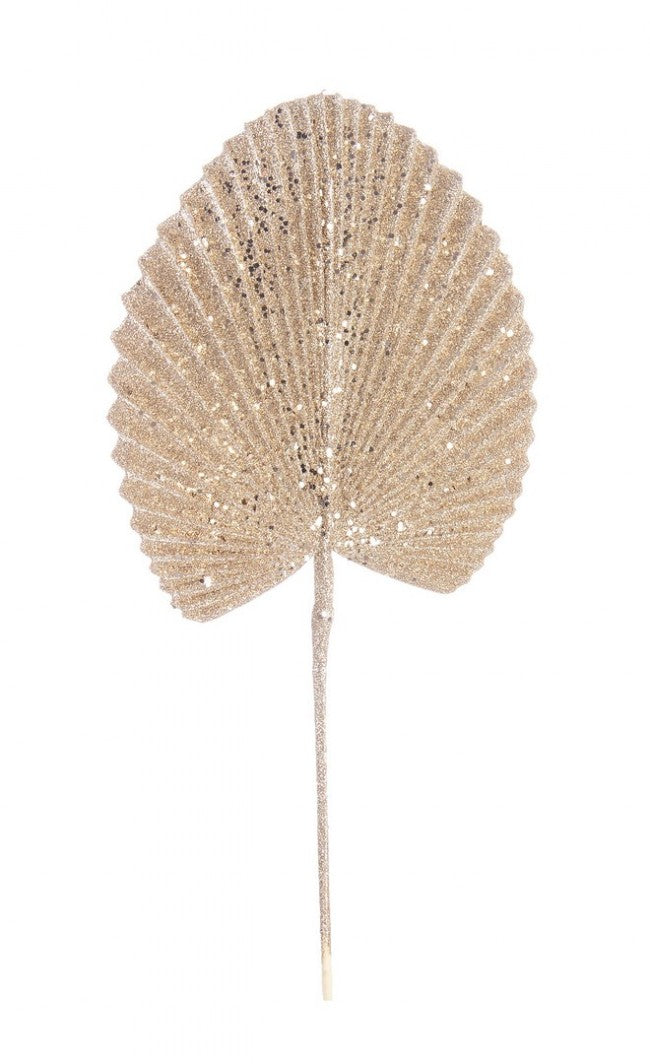12x Feuille d'Éventail à Champagne H52cm