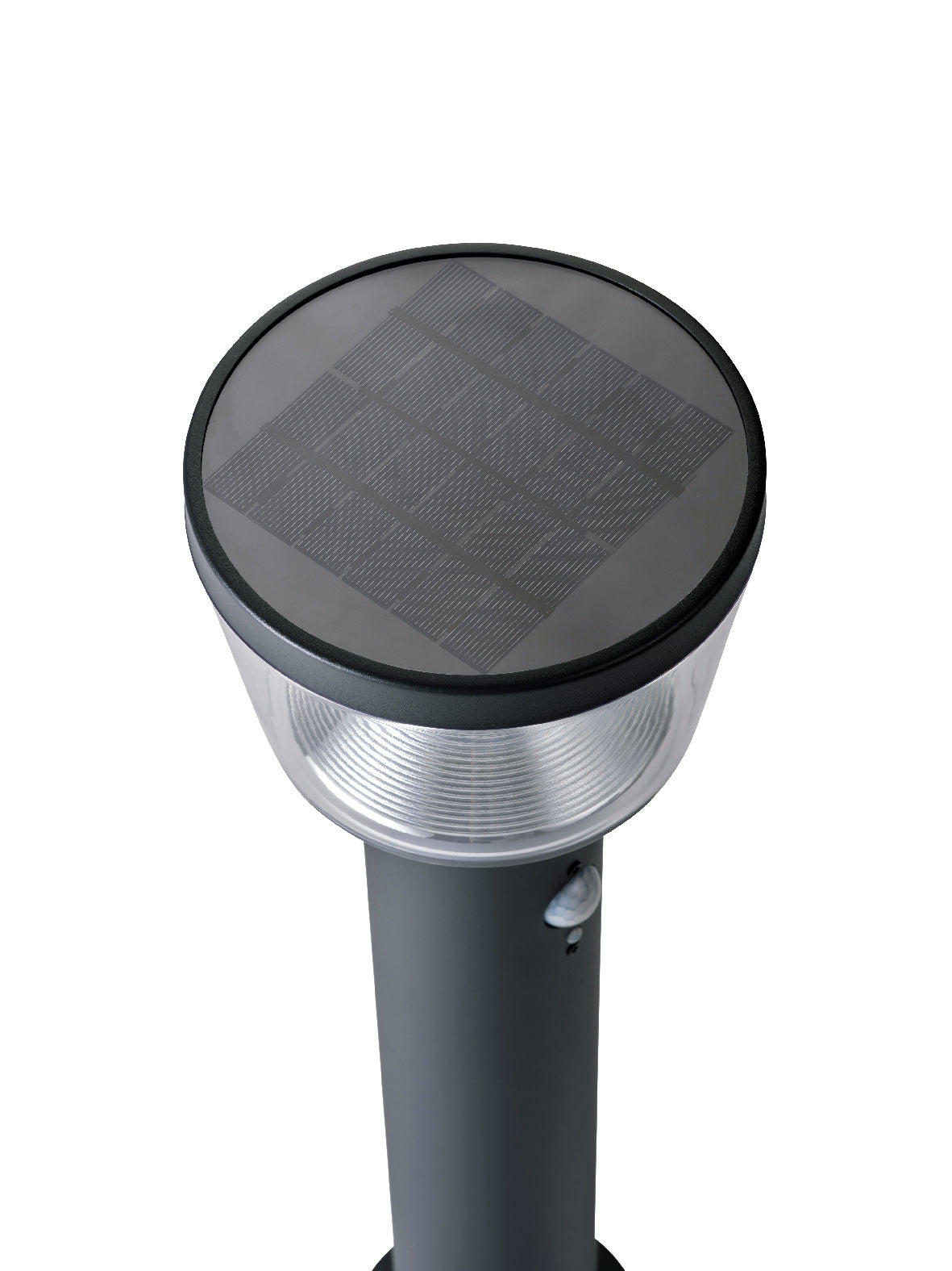 <p> Piquet solaire léger en acier inoxydable&lt;</p>