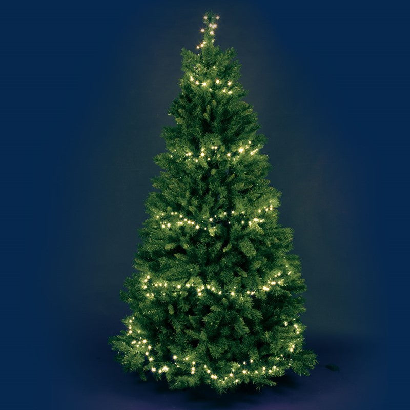 MiniCluster 1000 LED blanc chaud 20,5m