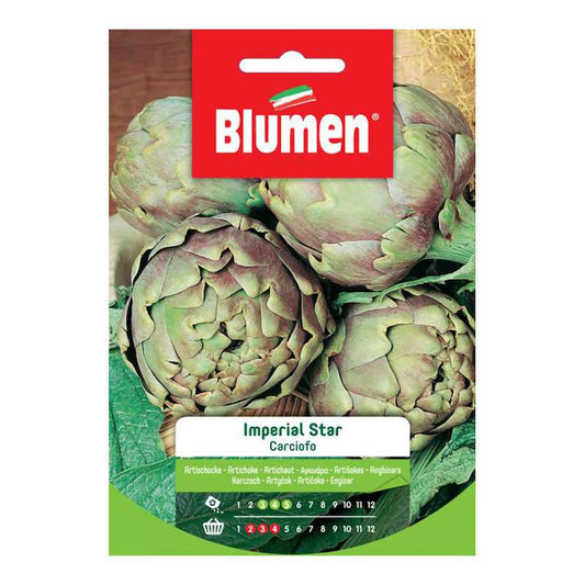 Graines d'artichaut étoilé impérial en sachet