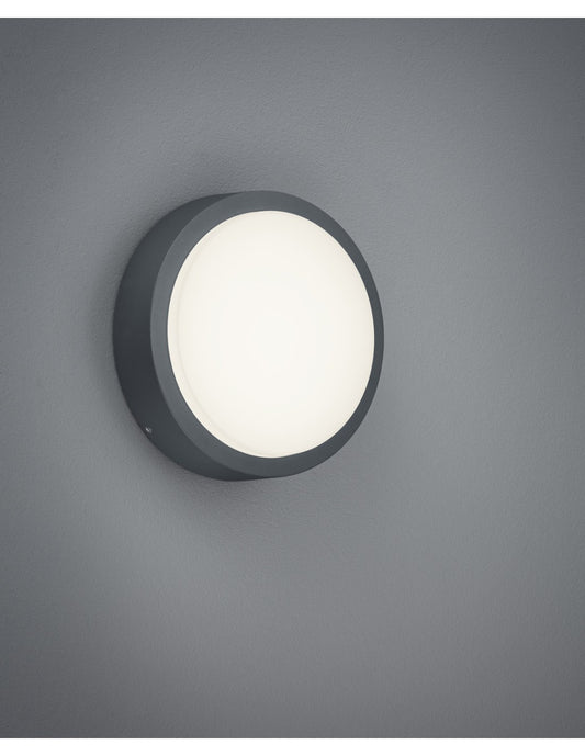 Plafonnier Extérieur Breg Anthracite IP54 Ø20 cm Trio Lighting