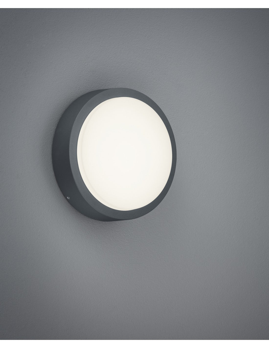 Plafonnier Extérieur Breg Anthracite IP54 Ø20 cm Trio Lighting