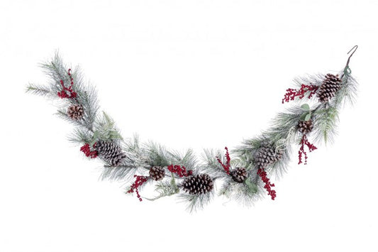 3x Boa Baies Cerisier Rouge H180