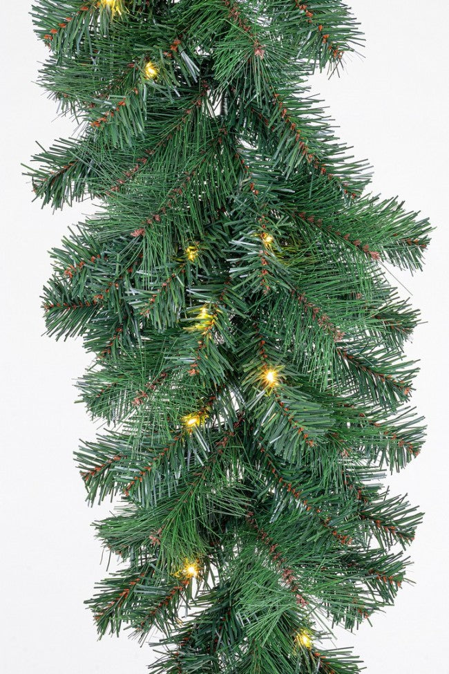 4x Boa Thurn H270 C-50L Classique