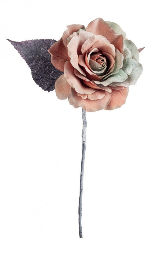 12x Pique Rosa Coline Orange/Vert