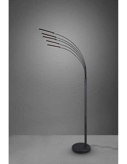 Lampadaire Reed 5 Arches LED Noir Mat H195 cm Trio Lighting