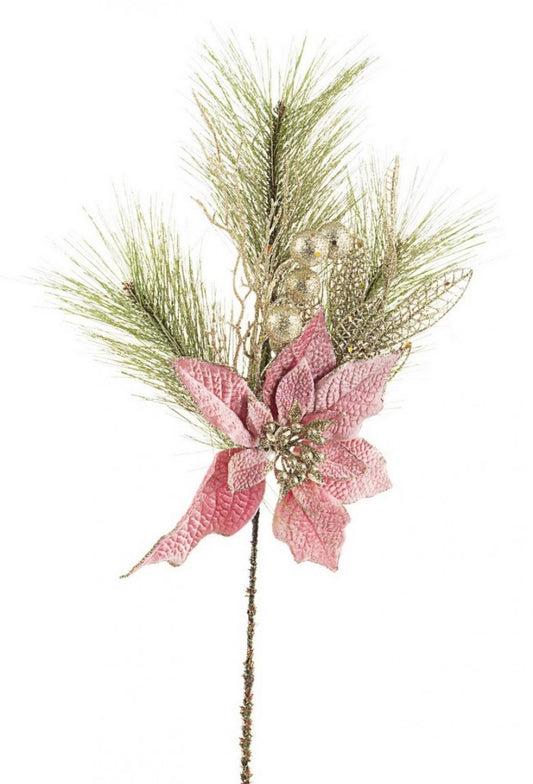 12x Pique Annabel Poinsettia Rose H50Cm