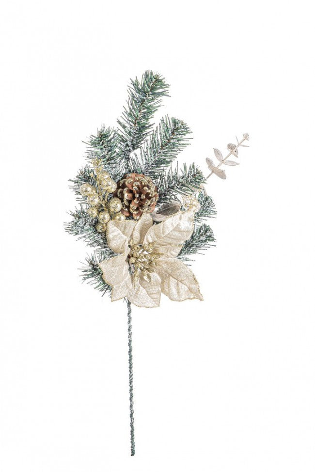 12x Pique Dorette Poinsettia Champagne H50Cm