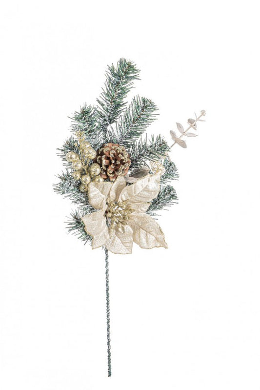 12x Pique Dorette Poinsettia Champagne H50Cm